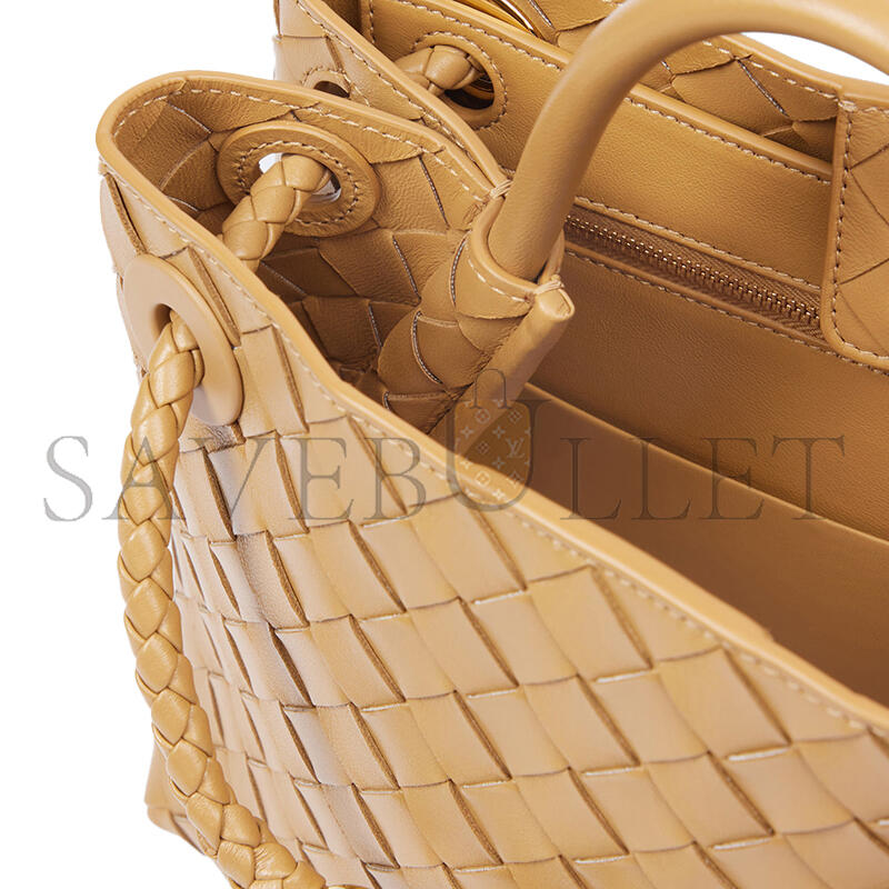 BOTTEGA VENETA SMALL ANDIAMO 743568 (25*22*10.5cm)